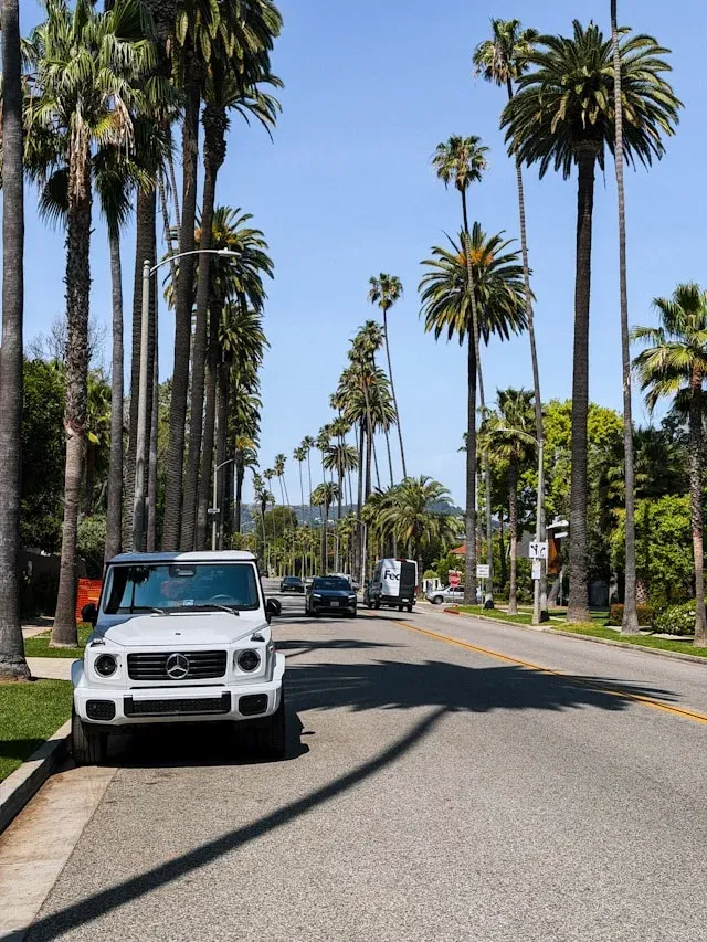 Palm-lined residential street in the Los Angeles area